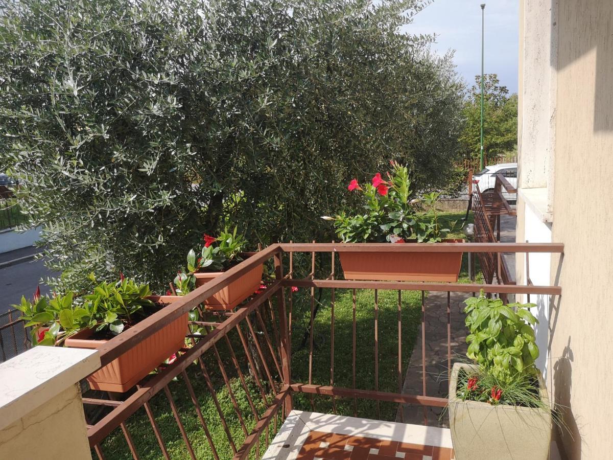 شقة Ai Quattro Ulivi بسكييرا ديل غاردا المظهر الخارجي الصورة